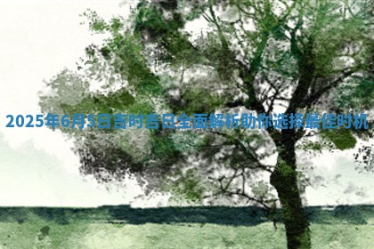 202 🏋 5年6月5 🐼 日吉时吉日全面解析助你选择最佳时机