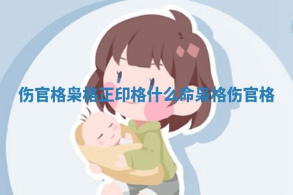 伤官格枭格正印格什么命 枭格 🤘 伤官 🈷 格
