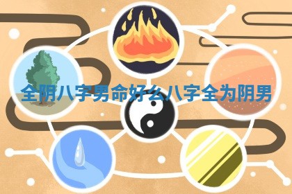 🗃 全阴八字男命好么 八字全为阴男 💱