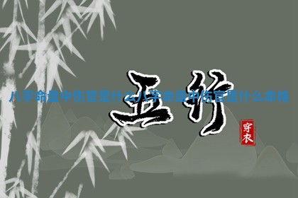 八字 🍿 命盘中 ⬜ 伤官是什么_八字命盘中伤官是什么命格