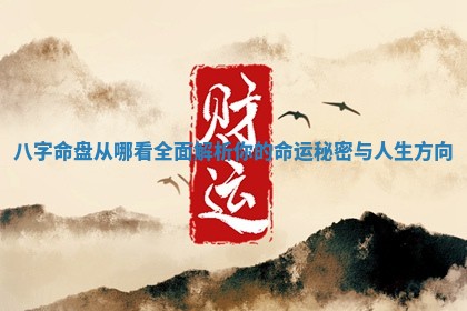 八字命盘从哪看全面解析你的命运秘密与人生 🚾 方向 💮