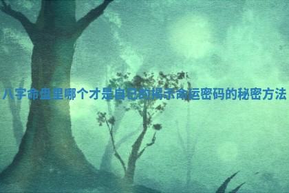 八字命盘里哪个才是自己的 🧜 揭示命运密码的秘密方 🛄 法