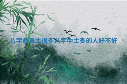 👂 八字命里土很多 八 🚓 字中土多的人好不好