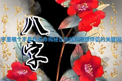 八字里哪个字最旺夫命 🌉 揭秘让你找到理想伴侣的关键因 🉑 素