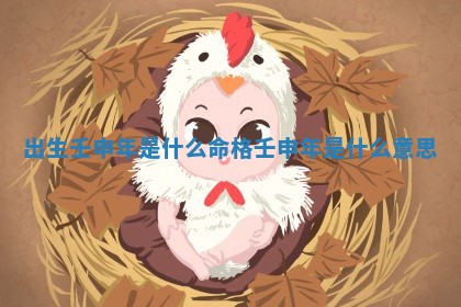 出生壬 🏪 申年是什么命格_壬申年是什 〰 么意思