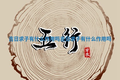 吉日求 🛎 子有 🐆 什么作用吗 吉日求子有什么作用吗