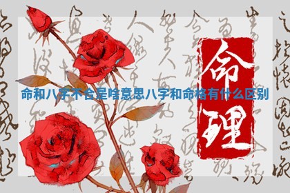 命 📖 和八字不 🦑 合是啥意思_八字和命格有什么区别