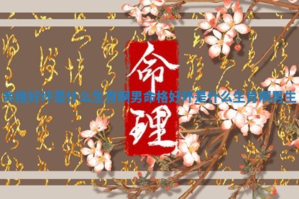 🍄 命格好坏是什么生肖啊男_命格好坏是什么生肖啊男 🐲 生