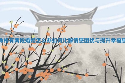命格有两段婚姻怎么办如何化解情感困 🐜 扰与提 😅 升幸福感