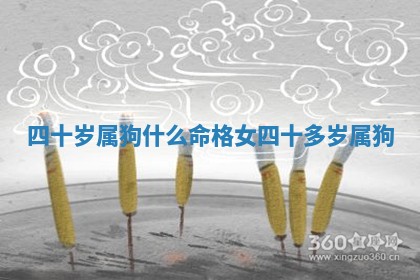 四十岁属狗什么命 🐩 格女 四十多岁属 🍫 狗