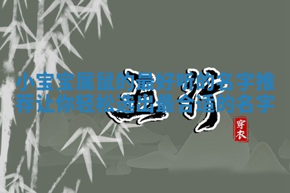 小 📚 宝宝属鼠的最好听的名字推荐让你轻松选出 🆓 最合适的名字