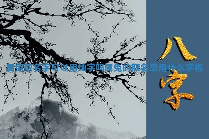 属兔取名字可以用灿 🔘 字吗_属兔 🕰 的取名忌用什么字根