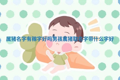 属猪名字有稼字好吗男孩 属猪取名 👝 字带 🛷 什么字好