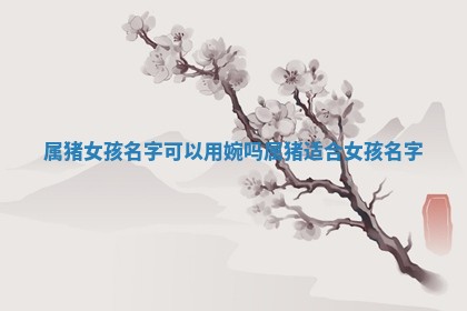 属猪女孩名字可以用婉吗 属猪适合女 🍁 孩名字 🍄