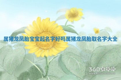 属猪龙凤胎宝宝 🤮 起名字好吗_属猪龙凤胎取名字大全 🏍 属猪龙凤胎宝宝 🤮 起名字好吗_属猪龙凤胎取名字大全 🏍