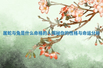 属蛇与兔是什么命格的人揭秘你的 🐬 性格与命运分 🍣 析