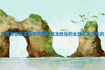 属龙男孩起名张明阳好吗_属 🚲 龙姓张的女孩名字洋气 🐬 的