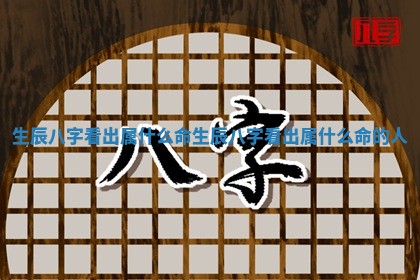 生辰八字看出属什么命_生辰八字看出属什么 ♉ 命的人 🎉