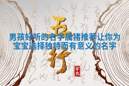 男 🏜 孩好听的名字属猪推荐 让你为宝宝选择独特而有意 ⚓ 义的名字