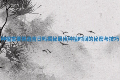 种 👢 植需要挑选吉 🧞 日吗揭秘最佳种植时间的秘密与技巧