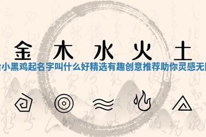 给小黑鸡起名字叫什么 💯 好精选有趣创意推荐 📆 助你灵感无限