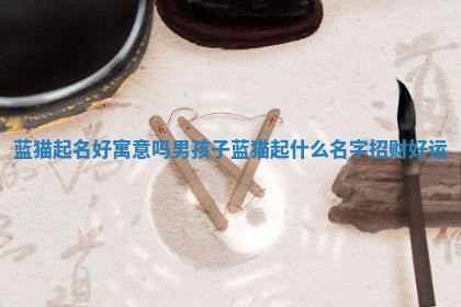 蓝猫起名好寓意 🏳 吗男孩子_蓝猫起什么名 💫 字招财好运