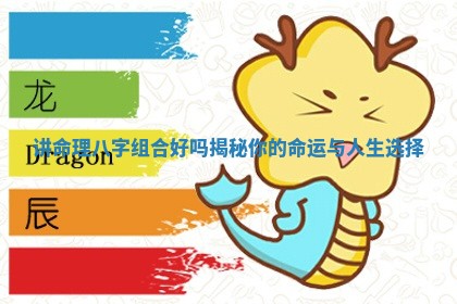 讲命理八字组合好吗揭 🙍 秘你的命运 💦 与人生选择