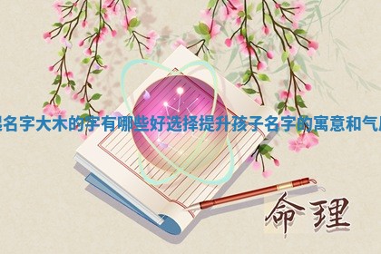 起名字大木的字有哪些好选择提升孩 🐙 子名字的寓意和气 🤳 质