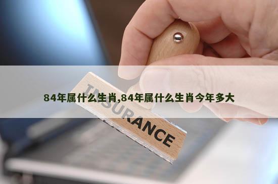 84年属什么生肖,84年属什么生肖今年多大