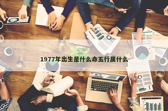 1977年出生是什么命五行属什么