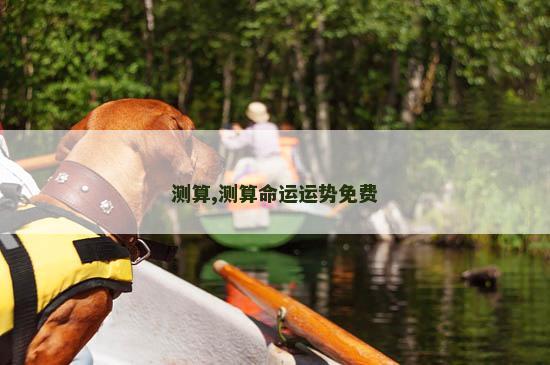 测算,测算命运运势免费