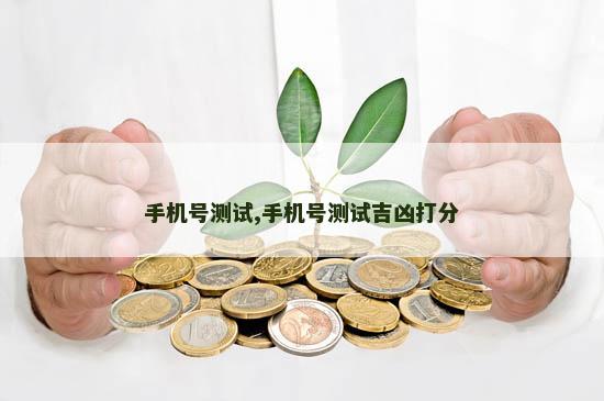 手机号测试,手机号测试吉凶打分